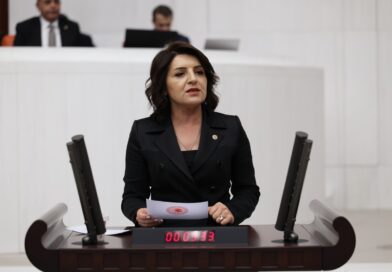 Ev Kadınlarına Vaat Var, İcraat Yok